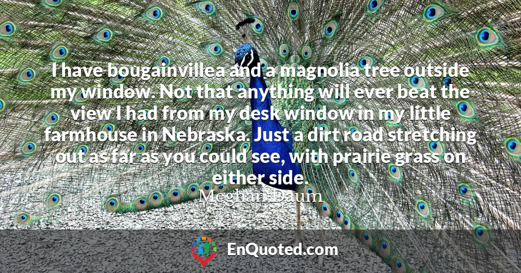 I have bougainvillea and a magnolia tree outside my window. Not that anything will ever beat the view I had from my desk window in my little farmhouse in Nebraska. Just a dirt road stretching out as far as you could see, with prairie grass on either side.