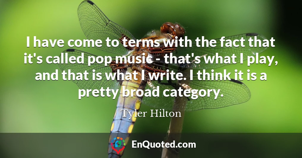 I have come to terms with the fact that it's called pop music - that's what I play, and that is what I write. I think it is a pretty broad category.