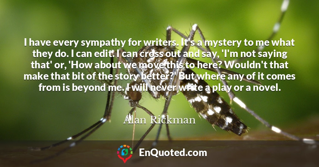 I have every sympathy for writers. It's a mystery to me what they do. I can edit. I can cross out and say, 'I'm not saying that' or, 'How about we move this to here? Wouldn't that make that bit of the story better?' But where any of it comes from is beyond me. I will never write a play or a novel.