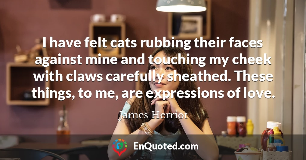 I have felt cats rubbing their faces against mine and touching my cheek with claws carefully sheathed. These things, to me, are expressions of love.