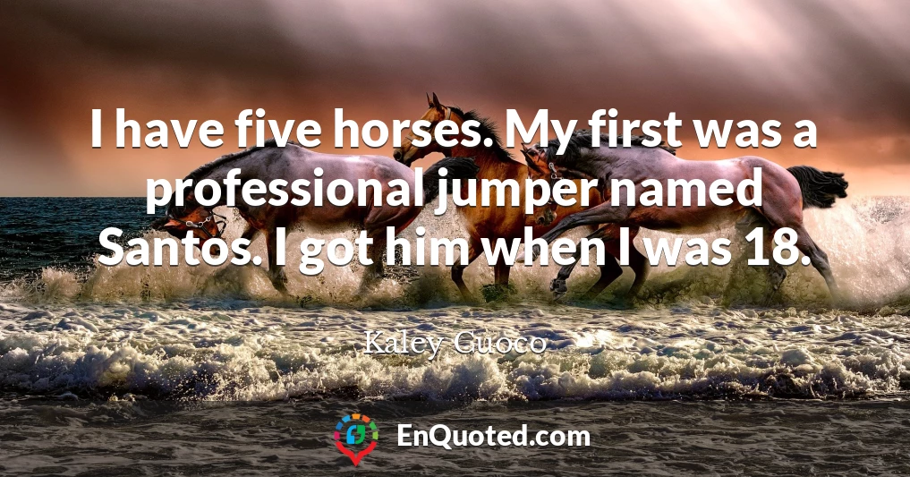 I have five horses. My first was a professional jumper named Santos. I got him when I was 18.