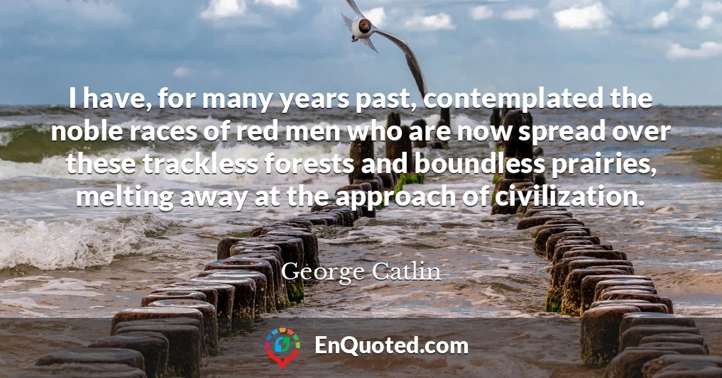 I have, for many years past, contemplated the noble races of red men who are now spread over these trackless forests and boundless prairies, melting away at the approach of civilization.