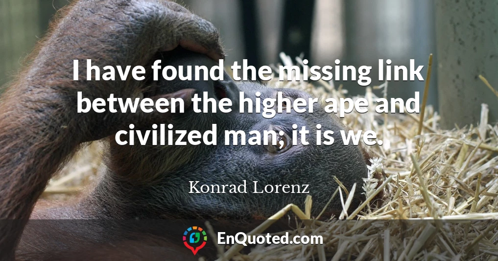 I have found the missing link between the higher ape and civilized man; it is we.