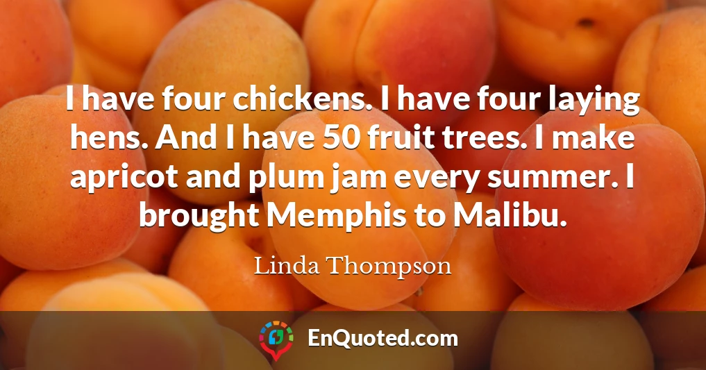 I have four chickens. I have four laying hens. And I have 50 fruit trees. I make apricot and plum jam every summer. I brought Memphis to Malibu.