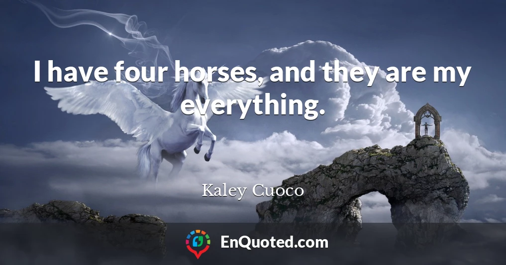 I have four horses, and they are my everything.