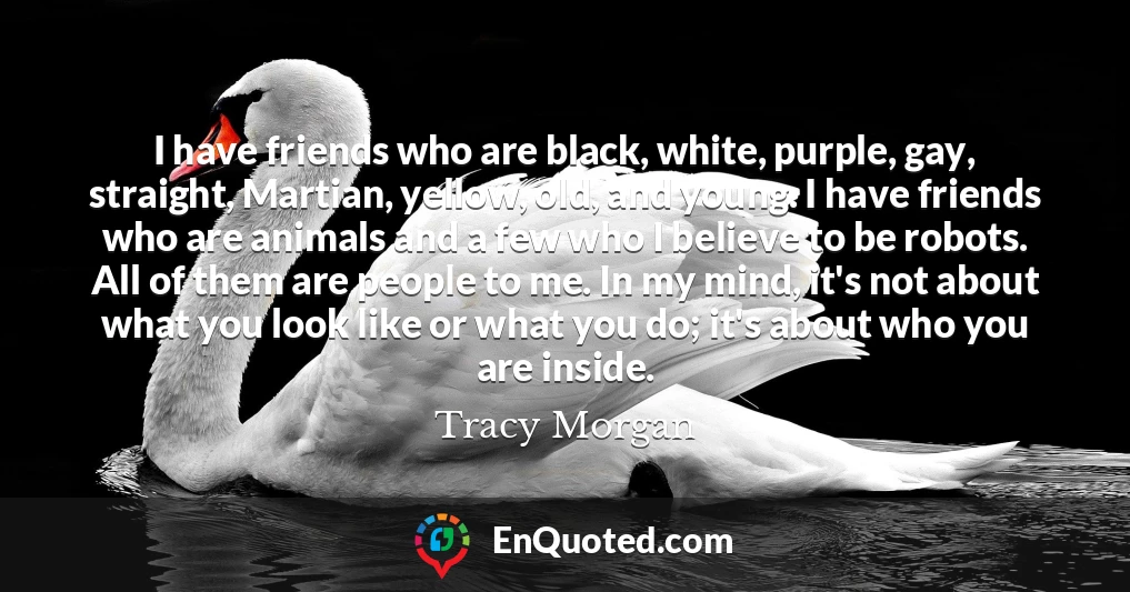 I have friends who are black, white, purple, gay, straight, Martian, yellow, old, and young. I have friends who are animals and a few who I believe to be robots. All of them are people to me. In my mind, it's not about what you look like or what you do; it's about who you are inside.