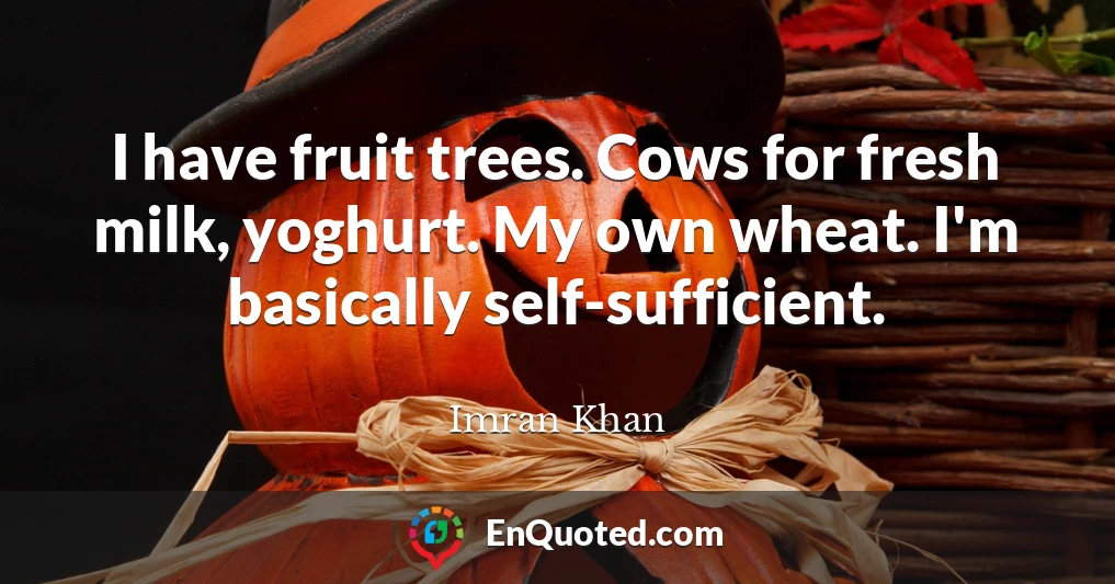 I have fruit trees. Cows for fresh milk, yoghurt. My own wheat. I'm basically self-sufficient.
