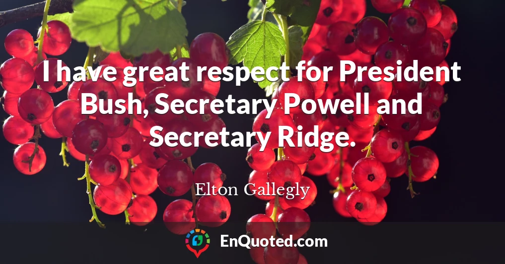 I have great respect for President Bush, Secretary Powell and Secretary Ridge.