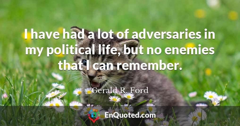 I have had a lot of adversaries in my political life, but no enemies that I can remember.