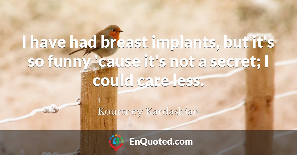 I have had breast implants, but it's so funny 'cause it's not a secret; I could care less.