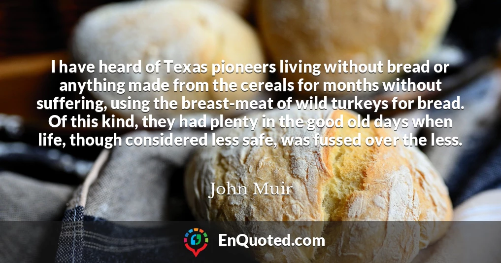 I have heard of Texas pioneers living without bread or anything made from the cereals for months without suffering, using the breast-meat of wild turkeys for bread. Of this kind, they had plenty in the good old days when life, though considered less safe, was fussed over the less.