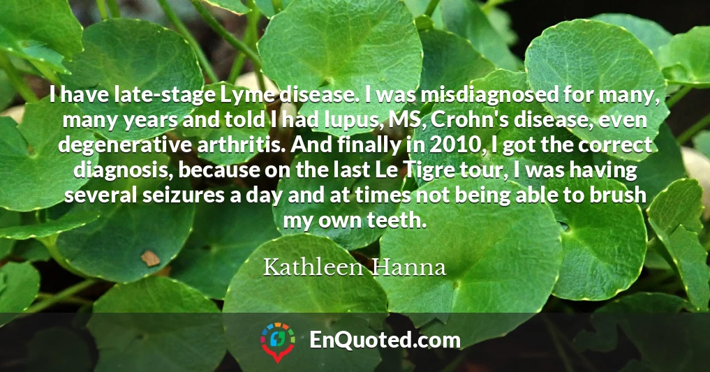 I have late-stage Lyme disease. I was misdiagnosed for many, many years and told I had lupus, MS, Crohn's disease, even degenerative arthritis. And finally in 2010, I got the correct diagnosis, because on the last Le Tigre tour, I was having several seizures a day and at times not being able to brush my own teeth.