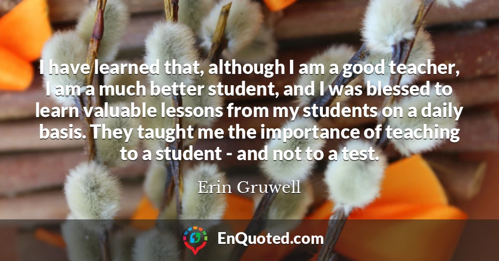 I have learned that, although I am a good teacher, I am a much better student, and I was blessed to learn valuable lessons from my students on a daily basis. They taught me the importance of teaching to a student - and not to a test.