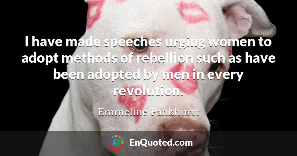 I have made speeches urging women to adopt methods of rebellion such as have been adopted by men in every revolution.