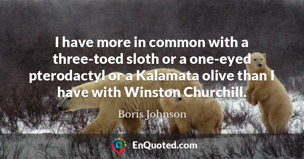 I have more in common with a three-toed sloth or a one-eyed pterodactyl or a Kalamata olive than I have with Winston Churchill.