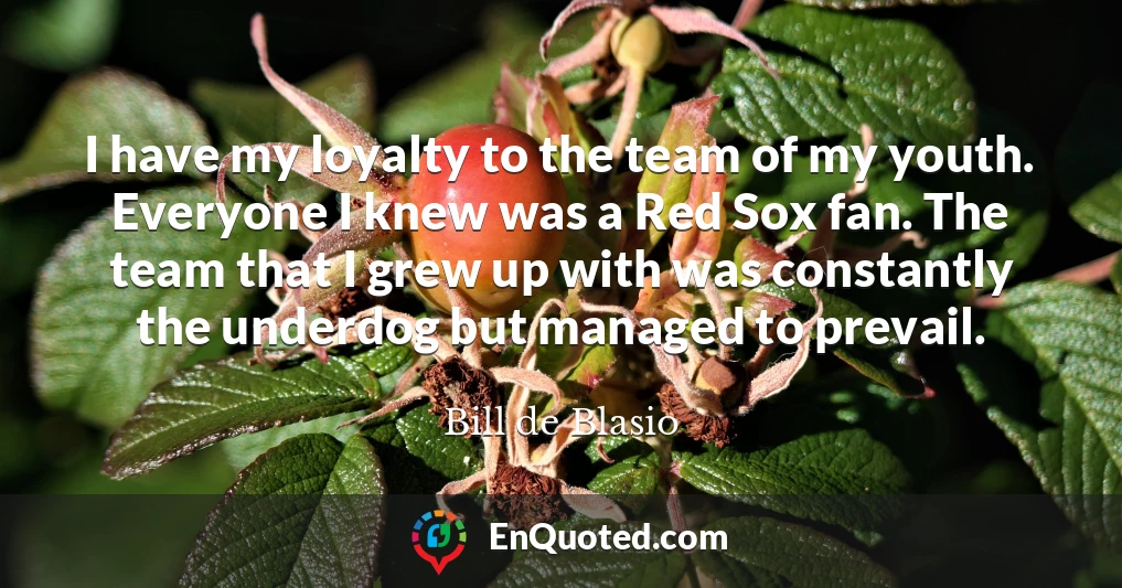 I have my loyalty to the team of my youth. Everyone I knew was a Red Sox fan. The team that I grew up with was constantly the underdog but managed to prevail.