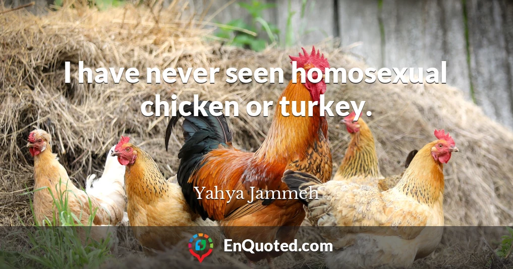 I have never seen homosexual chicken or turkey.
