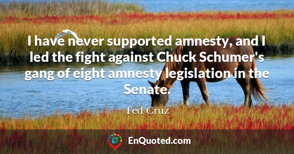 I have never supported amnesty, and I led the fight against Chuck Schumer's gang of eight amnesty legislation in the Senate.
