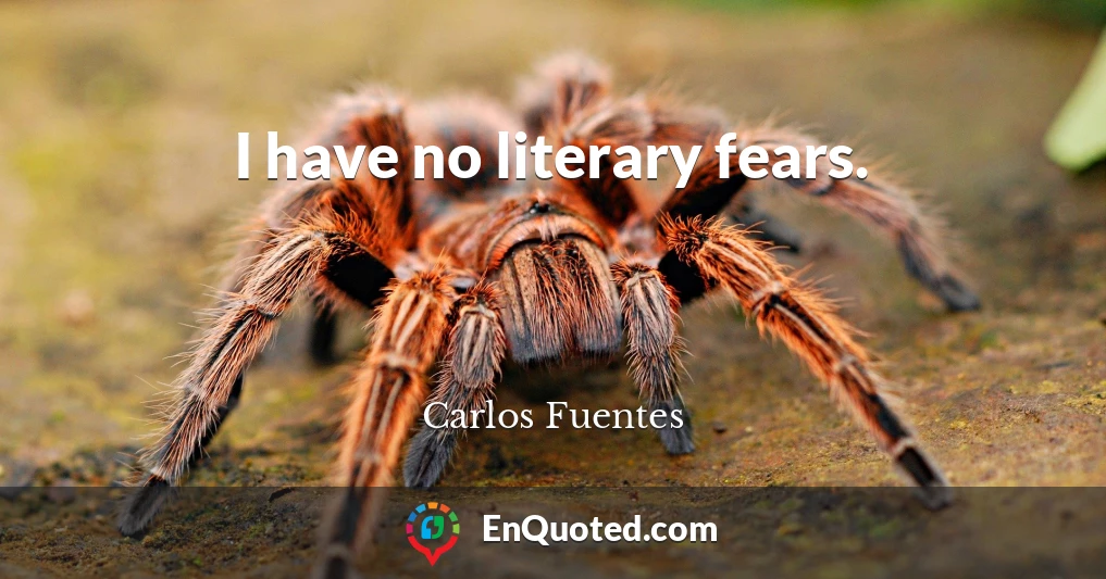 I have no literary fears.