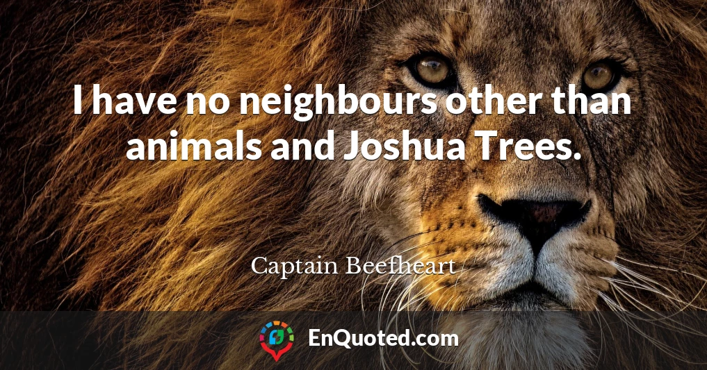I have no neighbours other than animals and Joshua Trees.
