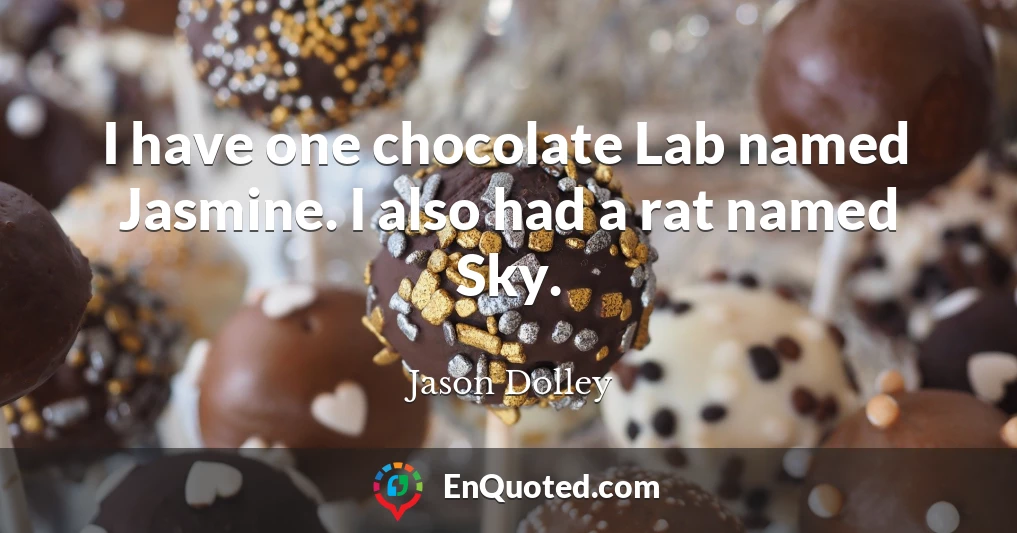 I have one chocolate Lab named Jasmine. I also had a rat named Sky.