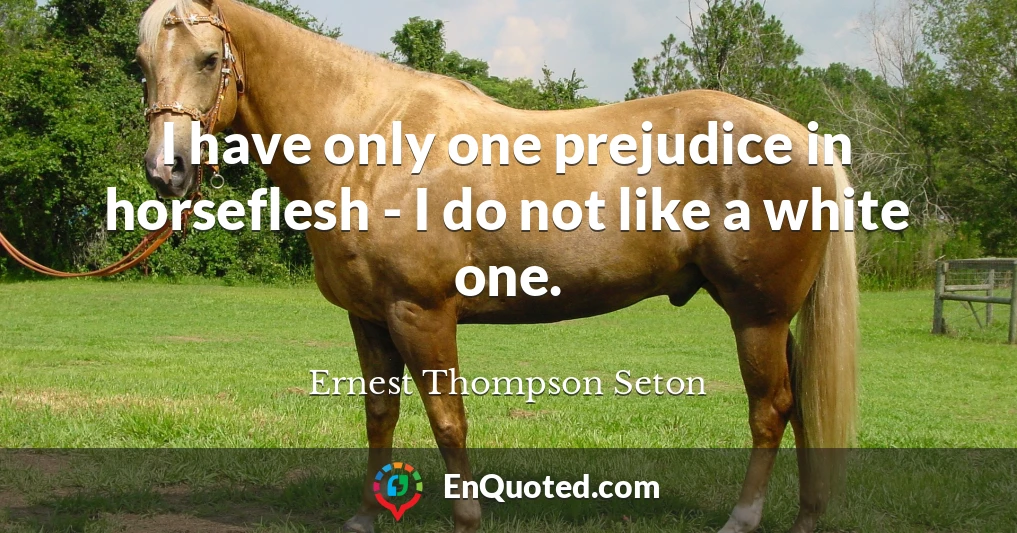 I have only one prejudice in horseflesh - I do not like a white one.