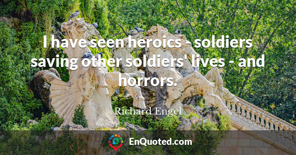 I have seen heroics - soldiers saving other soldiers' lives - and horrors.