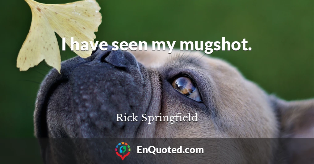 I have seen my mugshot.