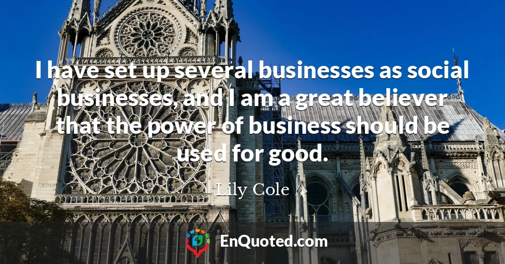 I have set up several businesses as social businesses, and I am a great believer that the power of business should be used for good.