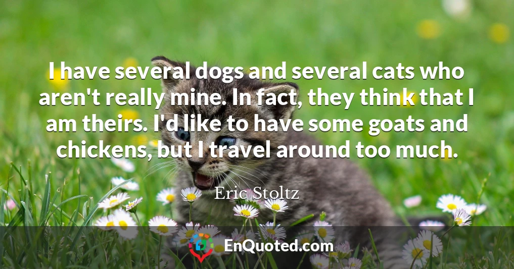 I have several dogs and several cats who aren't really mine. In fact, they think that I am theirs. I'd like to have some goats and chickens, but I travel around too much.
