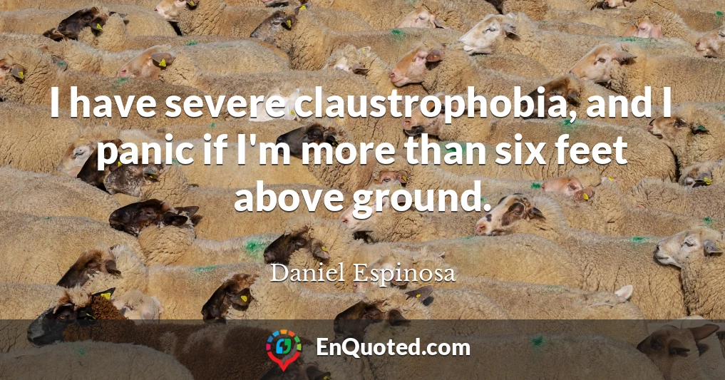 I have severe claustrophobia, and I panic if I'm more than six feet above ground.