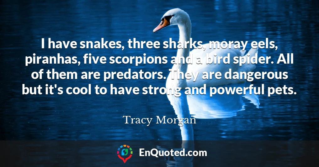 I have snakes, three sharks, moray eels, piranhas, five scorpions and a bird spider. All of them are predators. They are dangerous but it's cool to have strong and powerful pets.