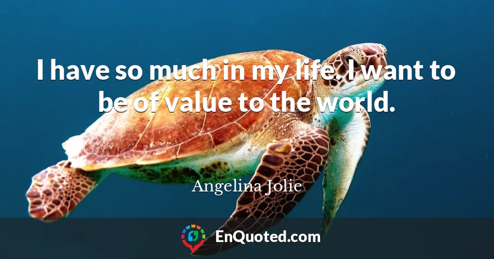 I have so much in my life. I want to be of value to the world.