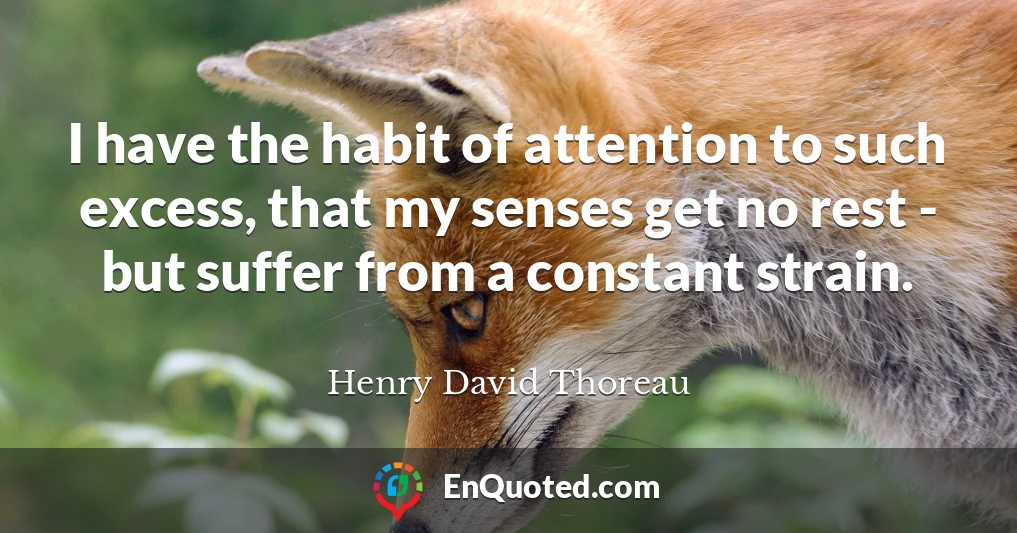 I have the habit of attention to such excess, that my senses get no rest - but suffer from a constant strain.