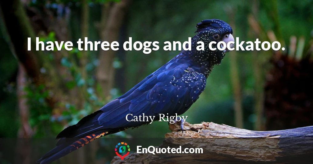 I have three dogs and a cockatoo.
