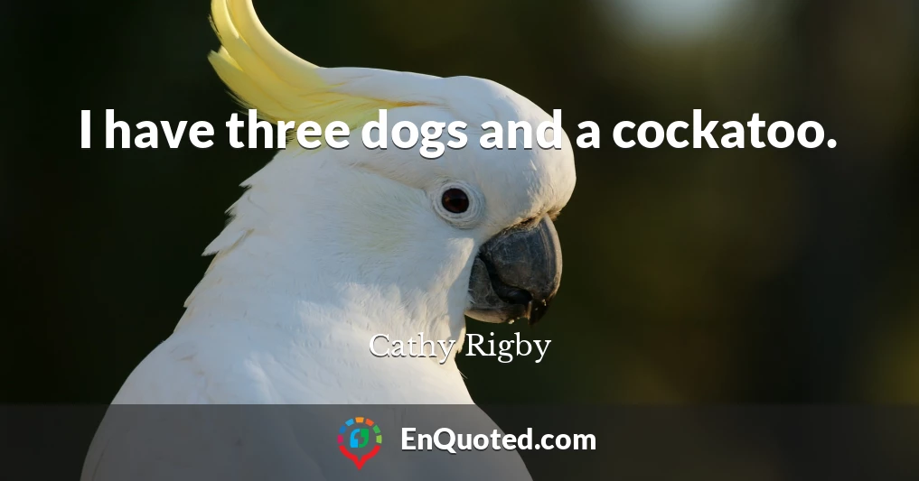 I have three dogs and a cockatoo.