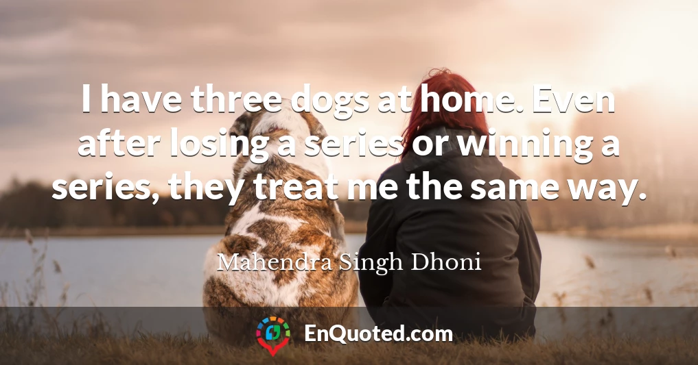 I have three dogs at home. Even after losing a series or winning a series, they treat me the same way.