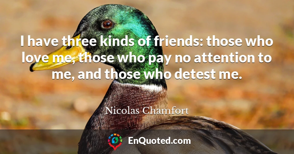 I have three kinds of friends: those who love me, those who pay no attention to me, and those who detest me.