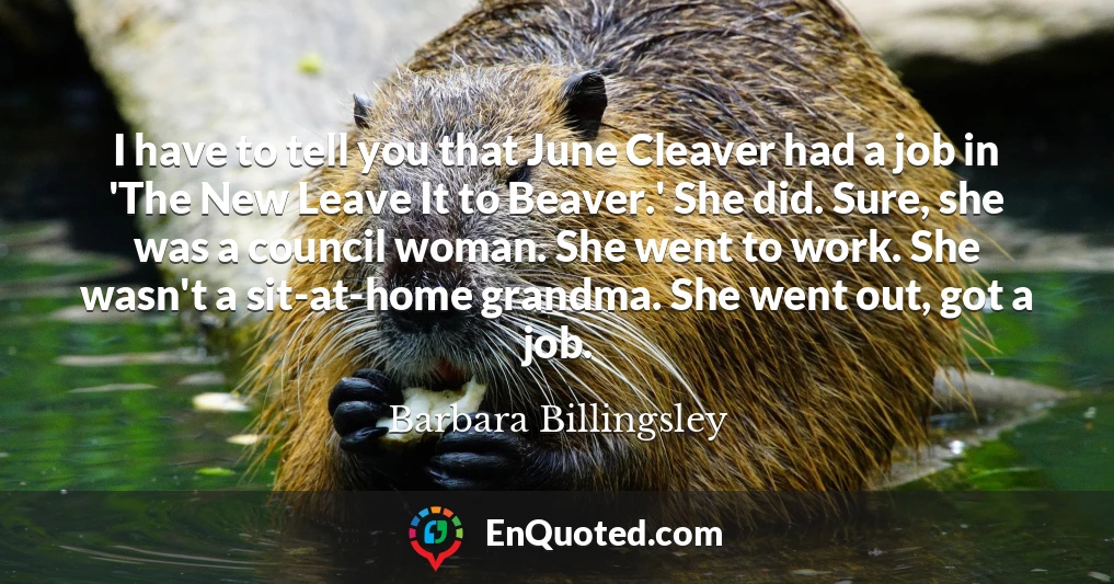 I have to tell you that June Cleaver had a job in 'The New Leave It to Beaver.' She did. Sure, she was a council woman. She went to work. She wasn't a sit-at-home grandma. She went out, got a job.