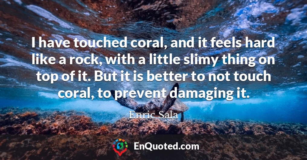 I have touched coral, and it feels hard like a rock, with a little slimy thing on top of it. But it is better to not touch coral, to prevent damaging it.