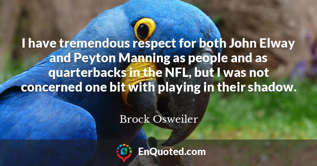 I have tremendous respect for both John Elway and Peyton Manning as people and as quarterbacks in the NFL, but I was not concerned one bit with playing in their shadow.