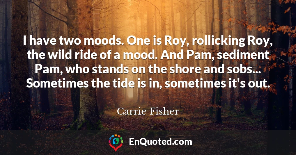 I have two moods. One is Roy, rollicking Roy, the wild ride of a mood. And Pam, sediment Pam, who stands on the shore and sobs... Sometimes the tide is in, sometimes it's out.