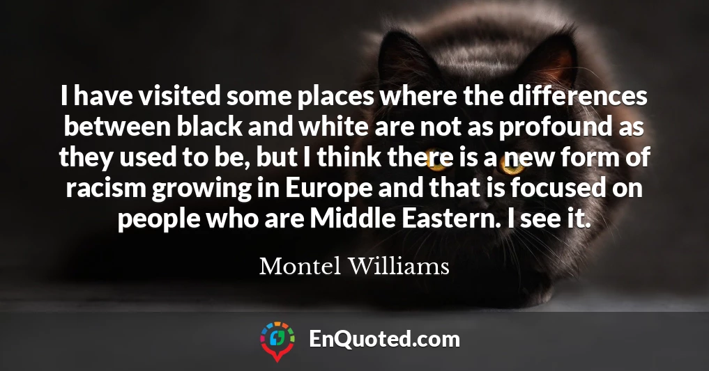 I have visited some places where the differences between black and white are not as profound as they used to be, but I think there is a new form of racism growing in Europe and that is focused on people who are Middle Eastern. I see it.