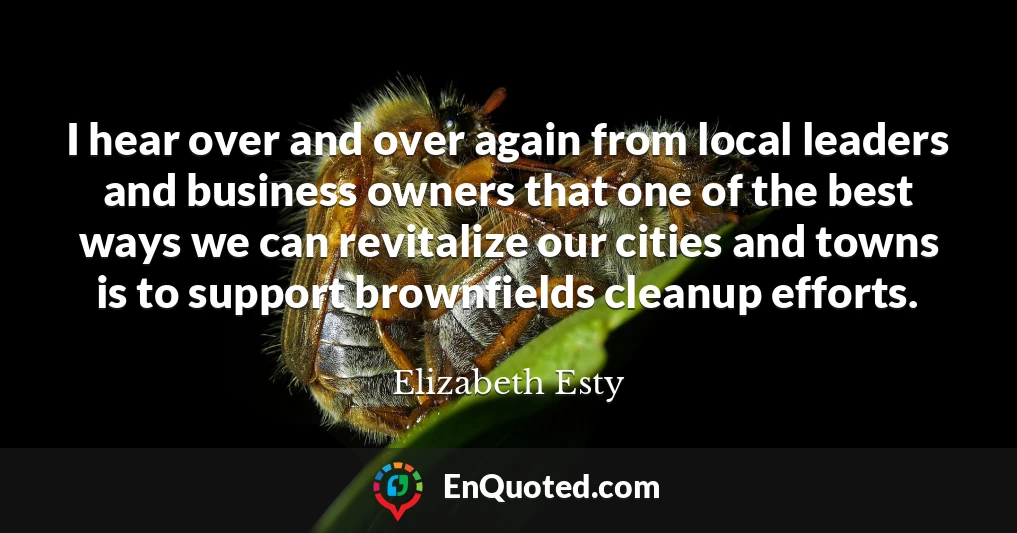 I hear over and over again from local leaders and business owners that one of the best ways we can revitalize our cities and towns is to support brownfields cleanup efforts.