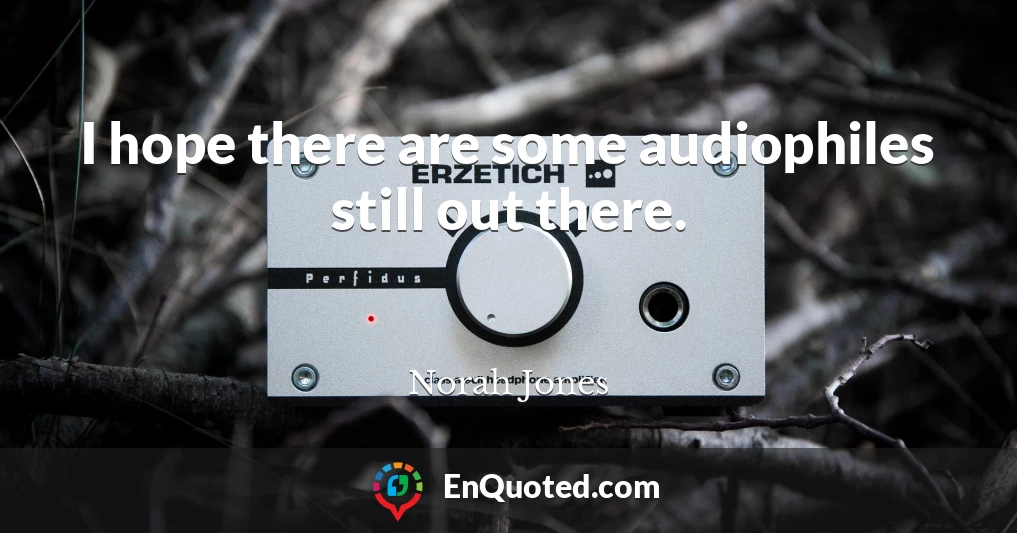 I hope there are some audiophiles still out there.
