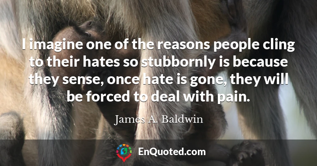 I imagine one of the reasons people cling to their hates so stubbornly is because they sense, once hate is gone, they will be forced to deal with pain.