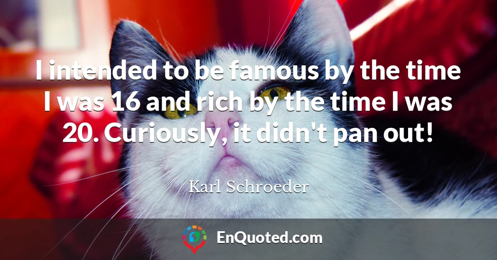 I intended to be famous by the time I was 16 and rich by the time I was 20. Curiously, it didn't pan out!