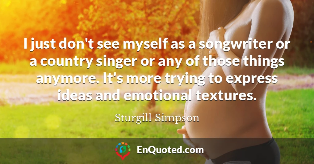 I just don't see myself as a songwriter or a country singer or any of those things anymore. It's more trying to express ideas and emotional textures.