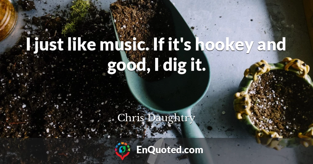 I just like music. If it's hookey and good, I dig it.