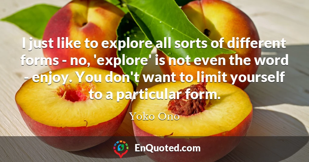 I just like to explore all sorts of different forms - no, 'explore' is not even the word - enjoy. You don't want to limit yourself to a particular form.